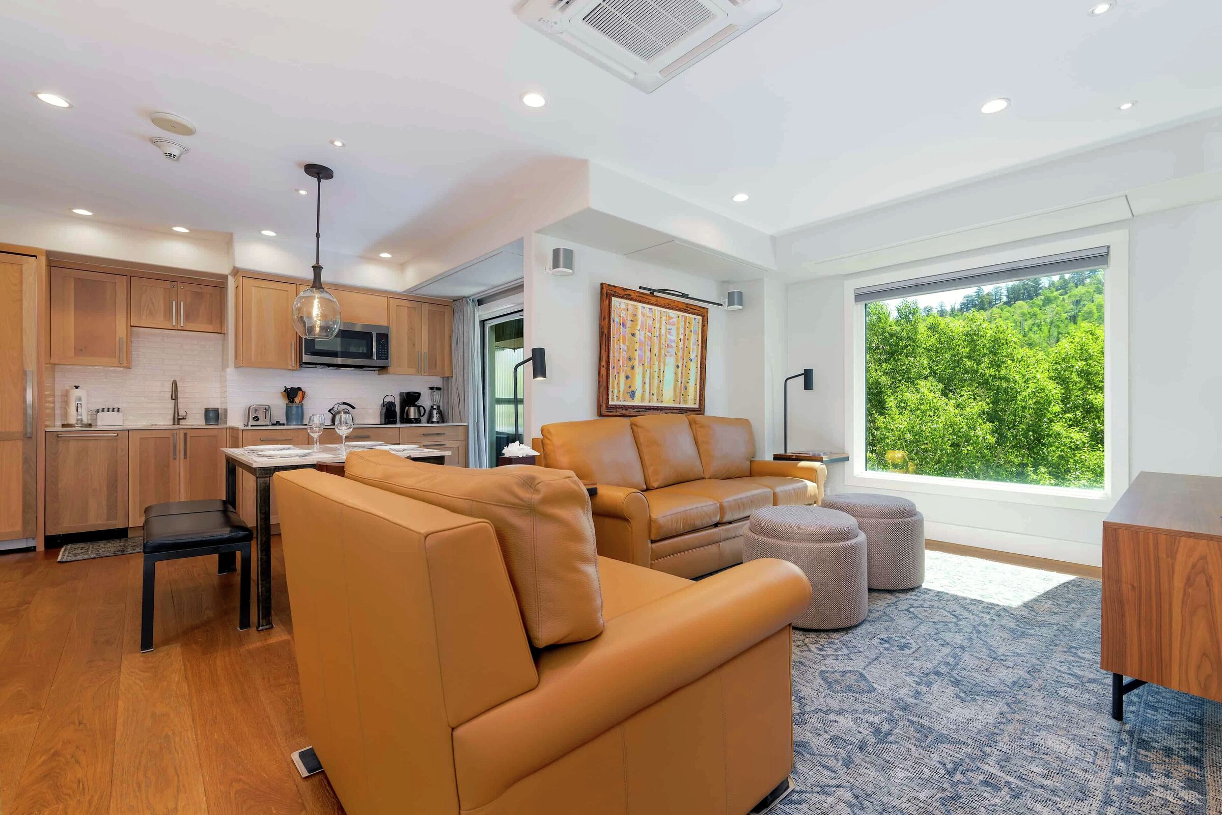 Living Area & Dining Area