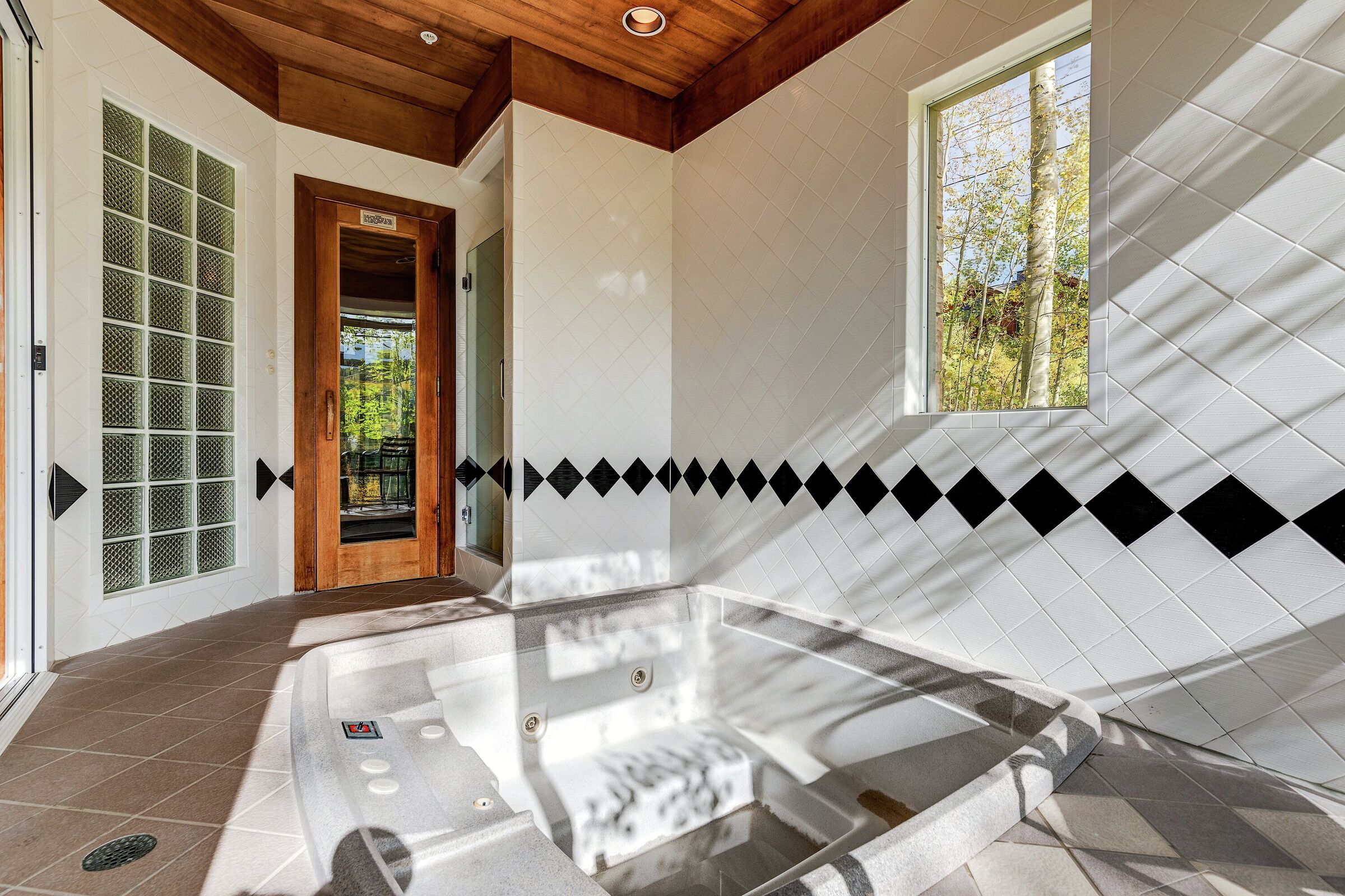 Indoor Hot Tub & Sauna