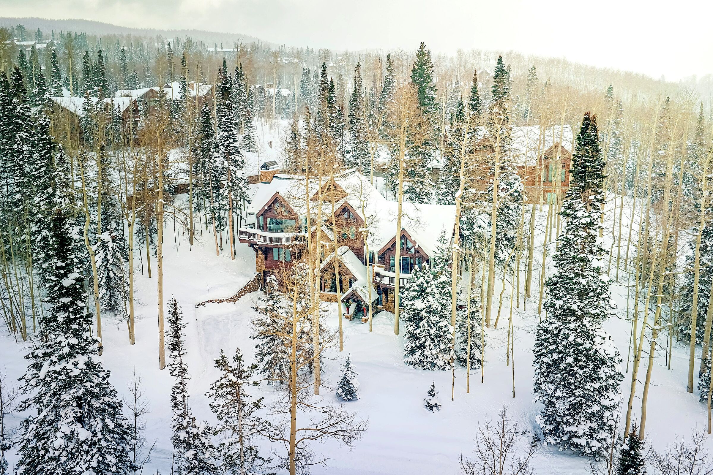 Wilson Peak 207 - Mountain Village Majesty