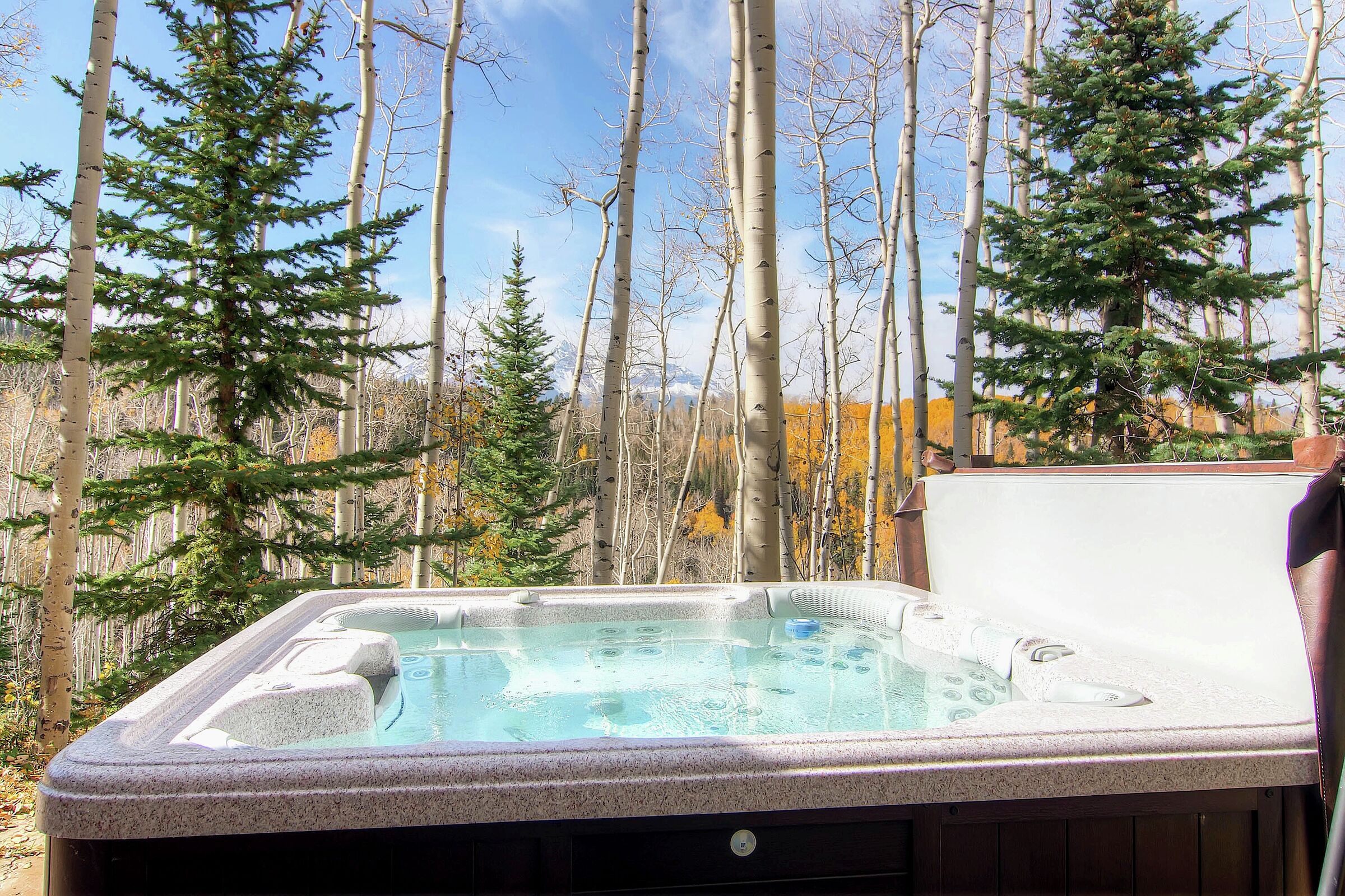 Patio with Hot Tub