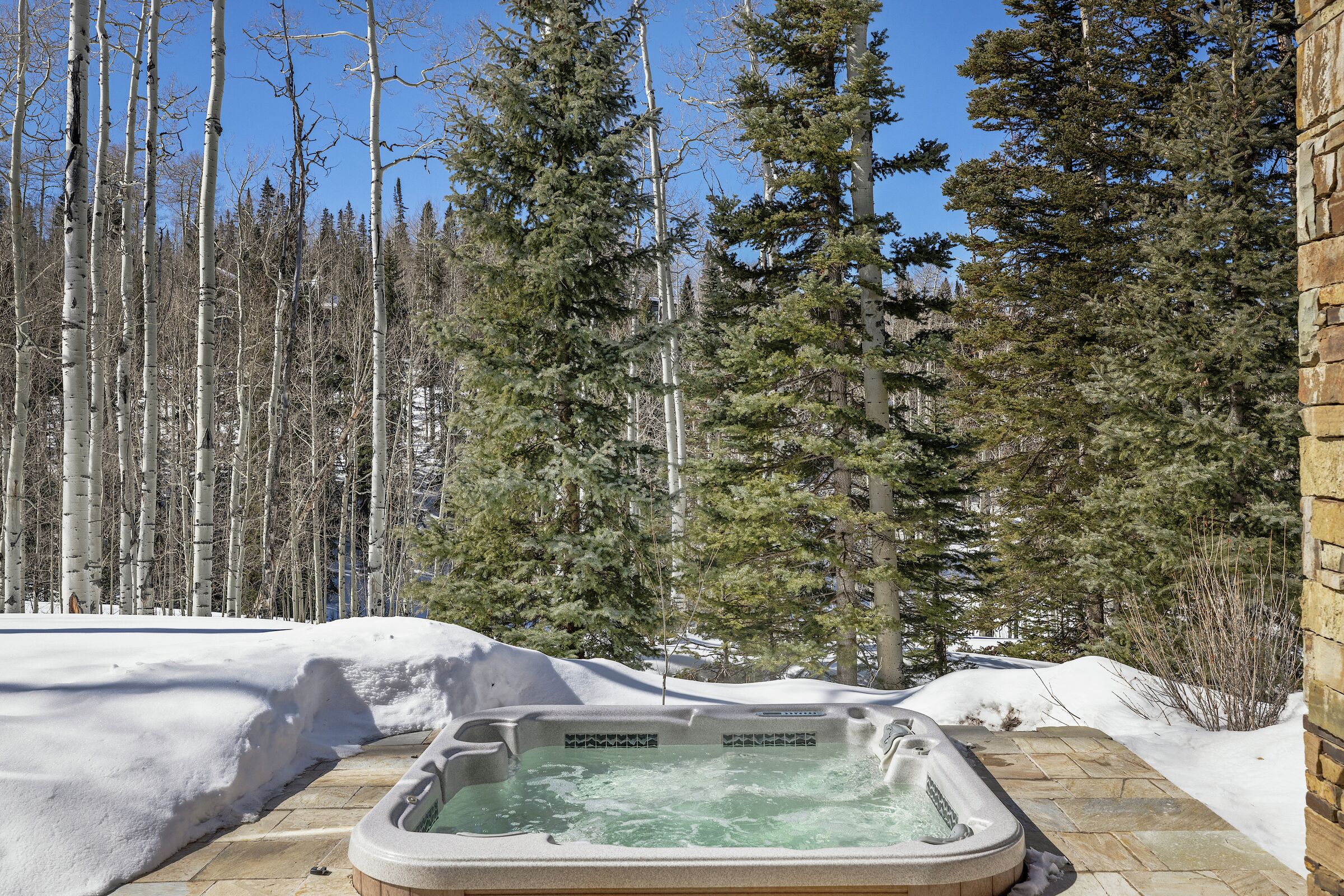 Patio with Hot Tub