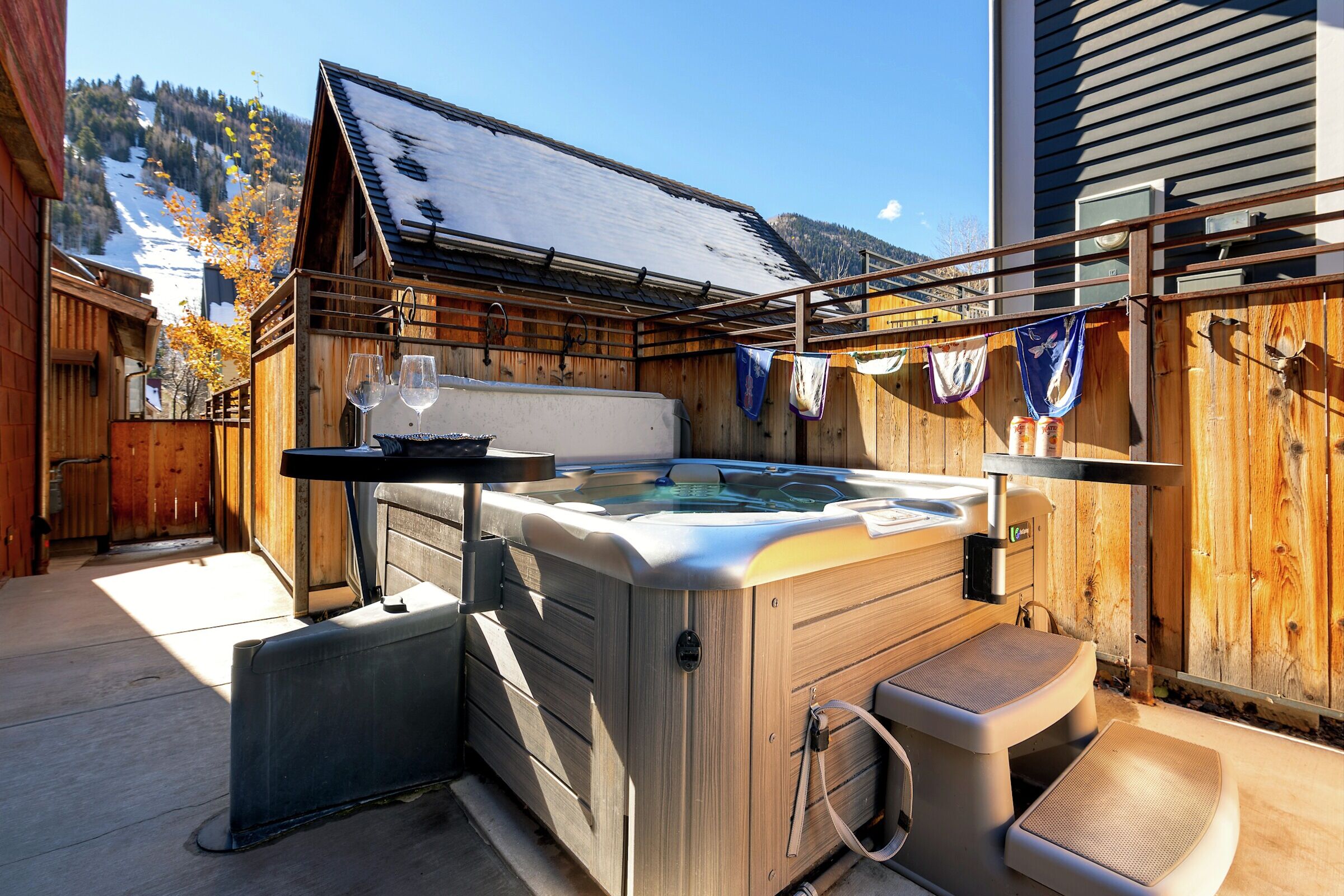 Patio with Hot Tub