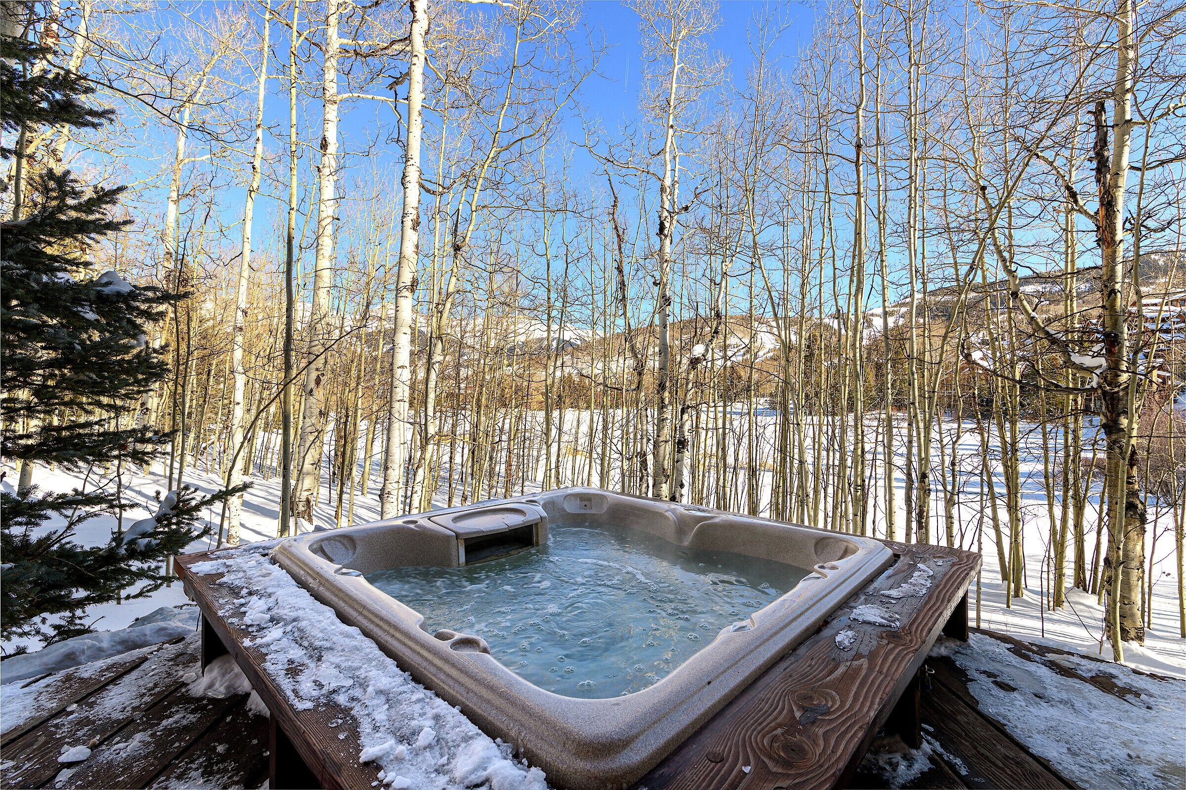 Patio with Hot Tub