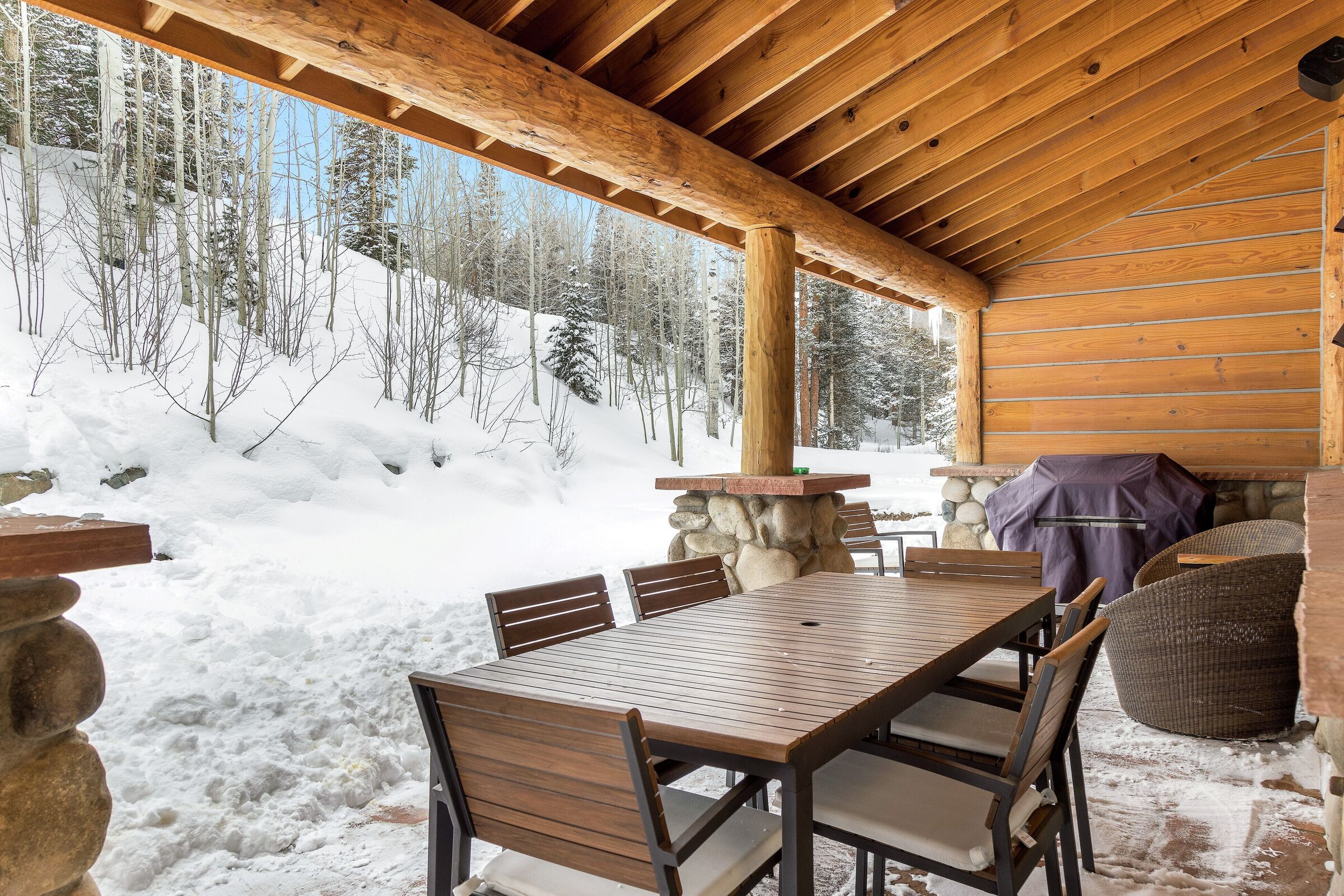 Patio with BBQ