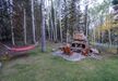 Gallery Thumbnail (Back Yard)