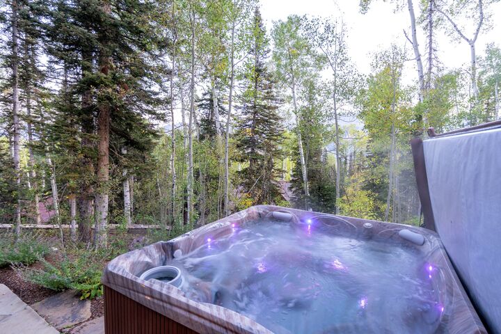 Patio with Hot Tub