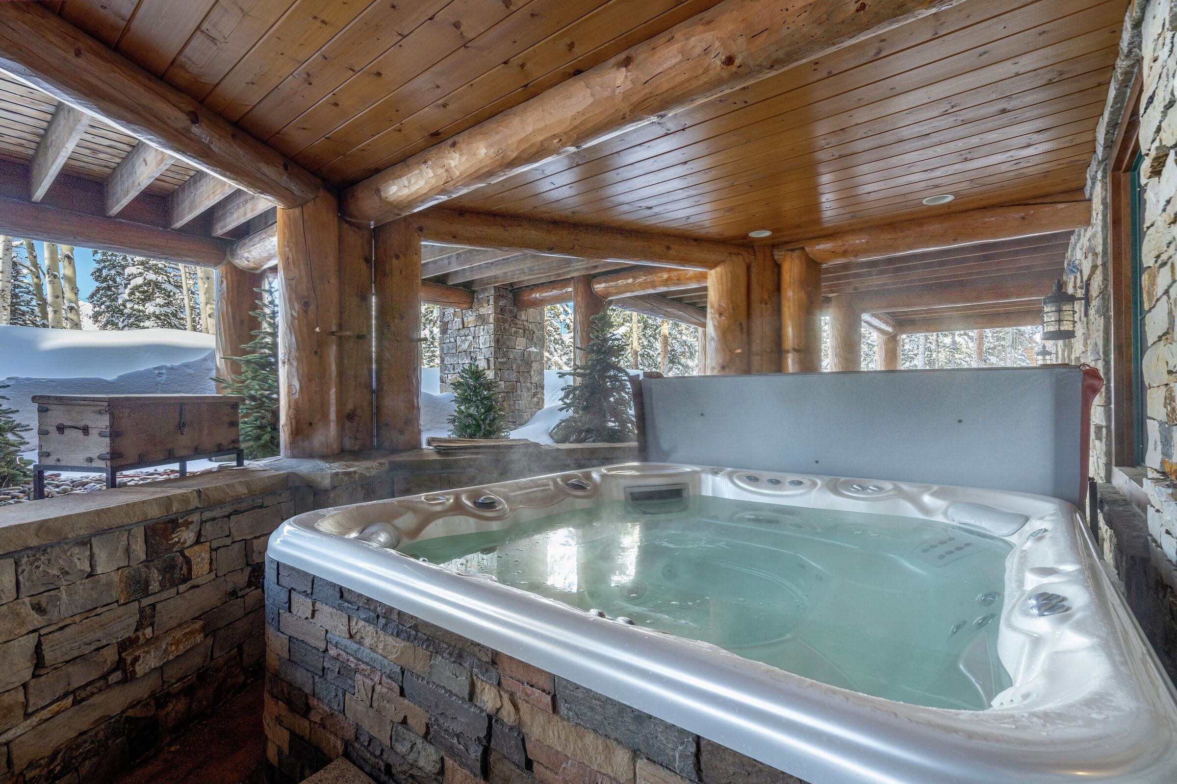 Patio with Hot Tub