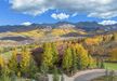 Gallery Thumbnail (Evergreen)