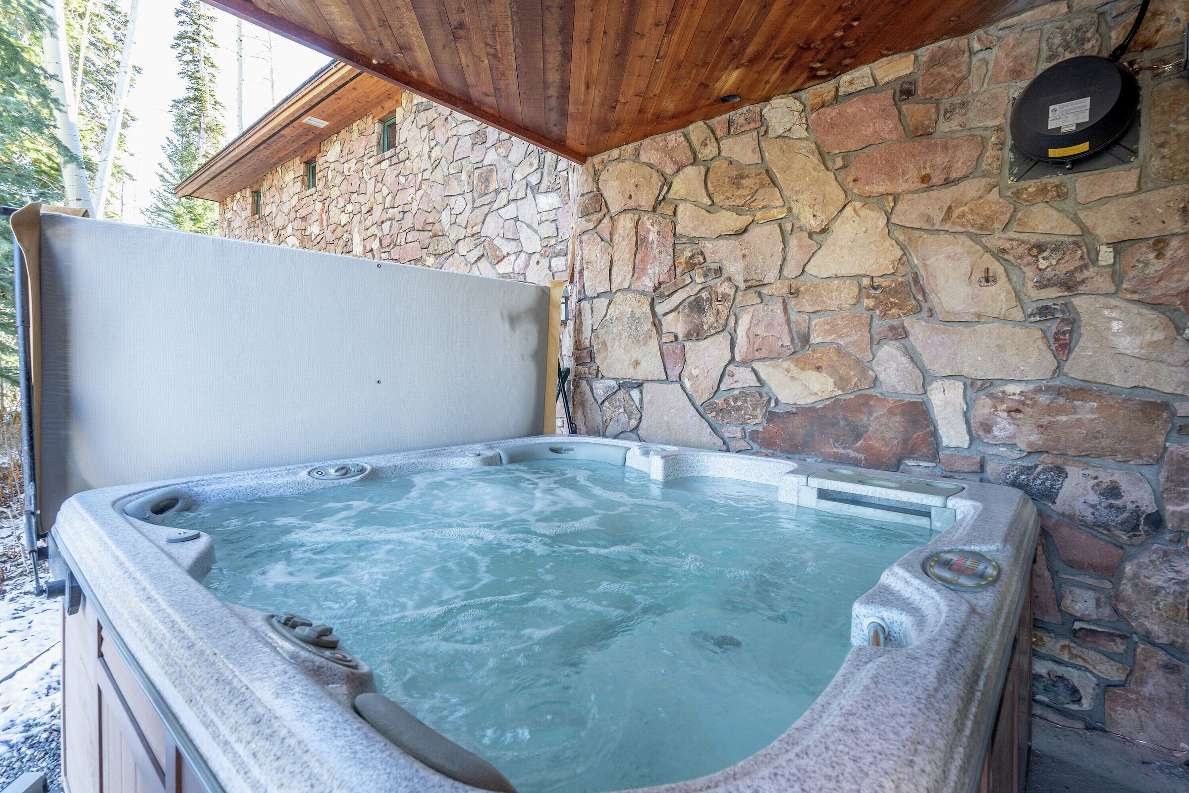 Patio with Hot Tub
