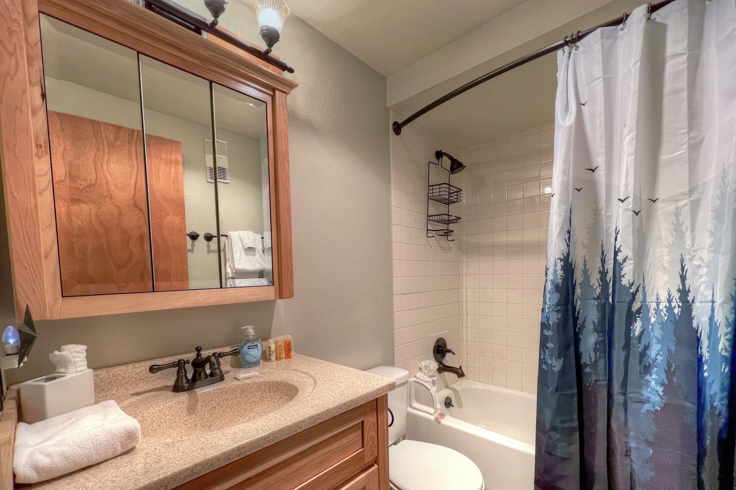 #306 - Bathroom