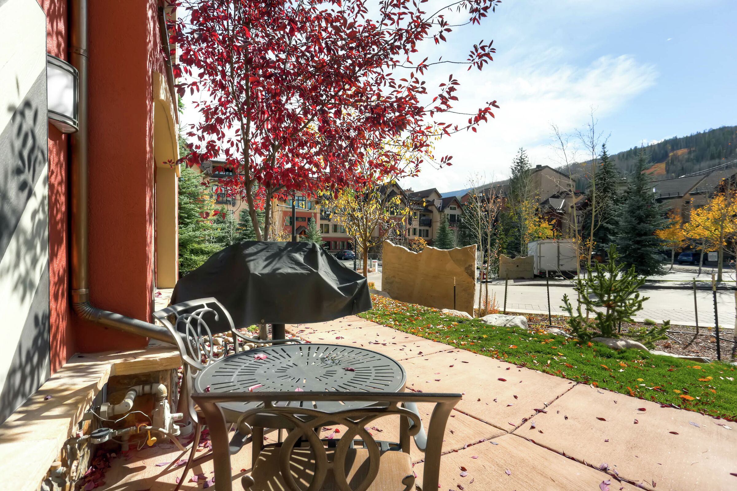 Patio with BBQ