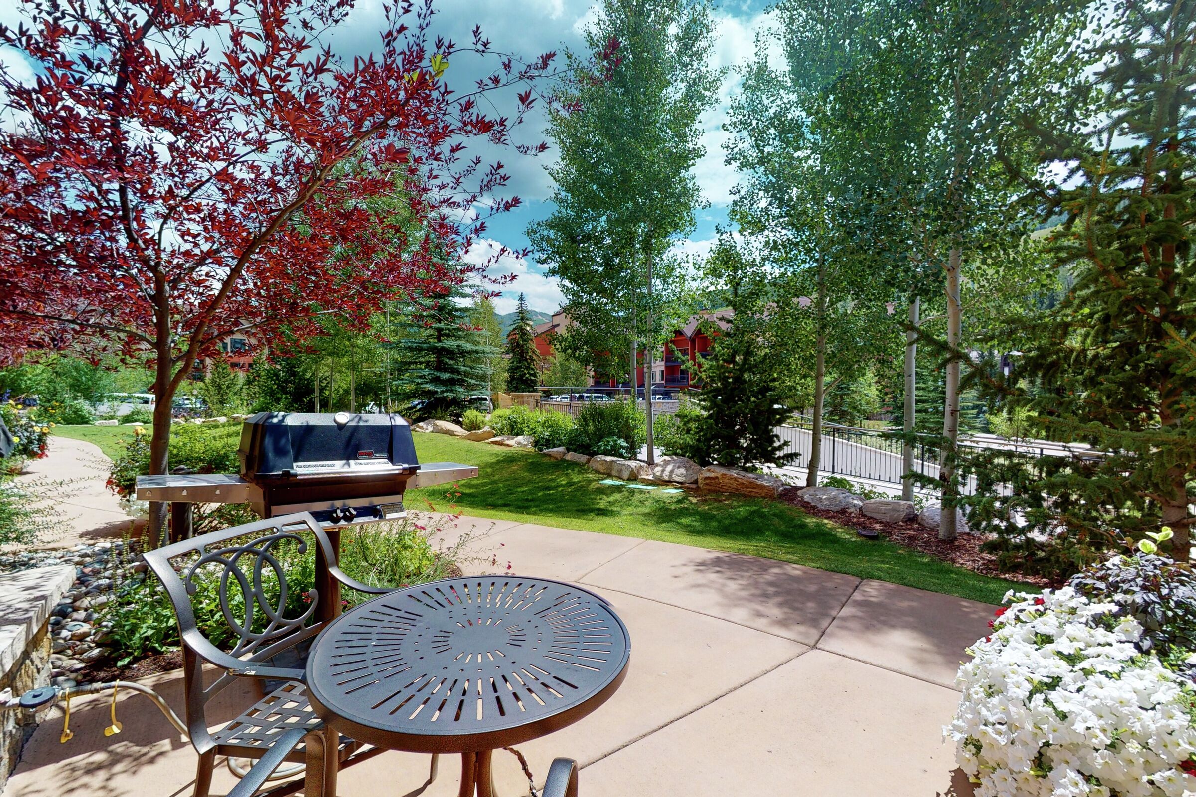 Patio with BBQ