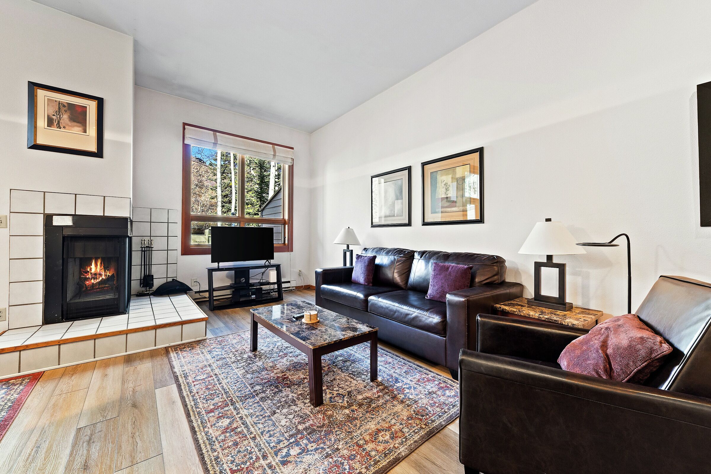 Coldstream 29 - Living Area