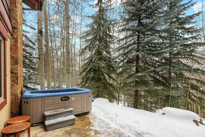 Patio with Hot Tub