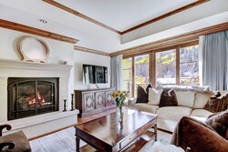 3 Bdrm Premier/Mountain View - Living Room