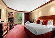 Gallery Thumbnail (Premium Mountain View - 1 King - King Room with Mountain View)