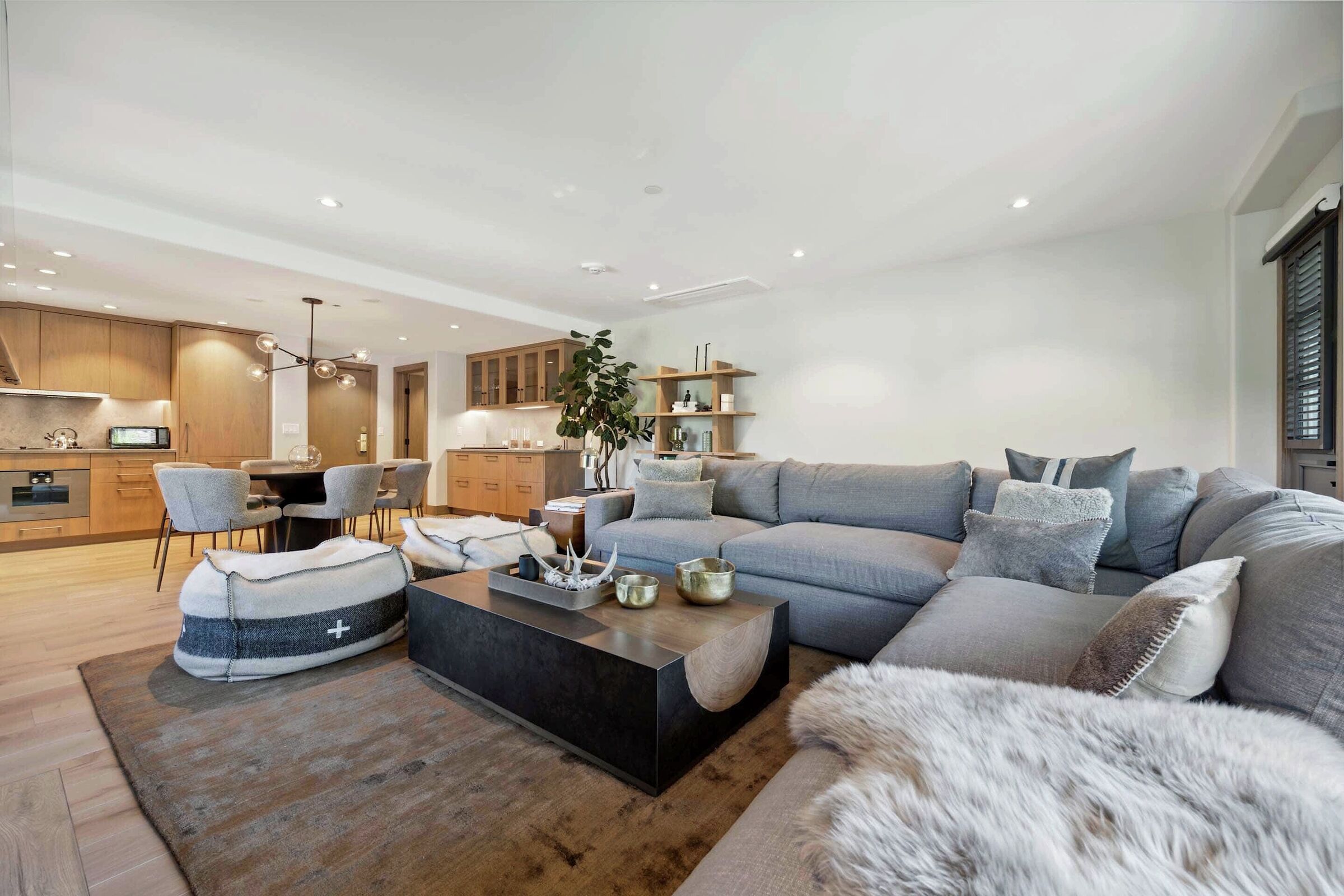 #699 - Living Area