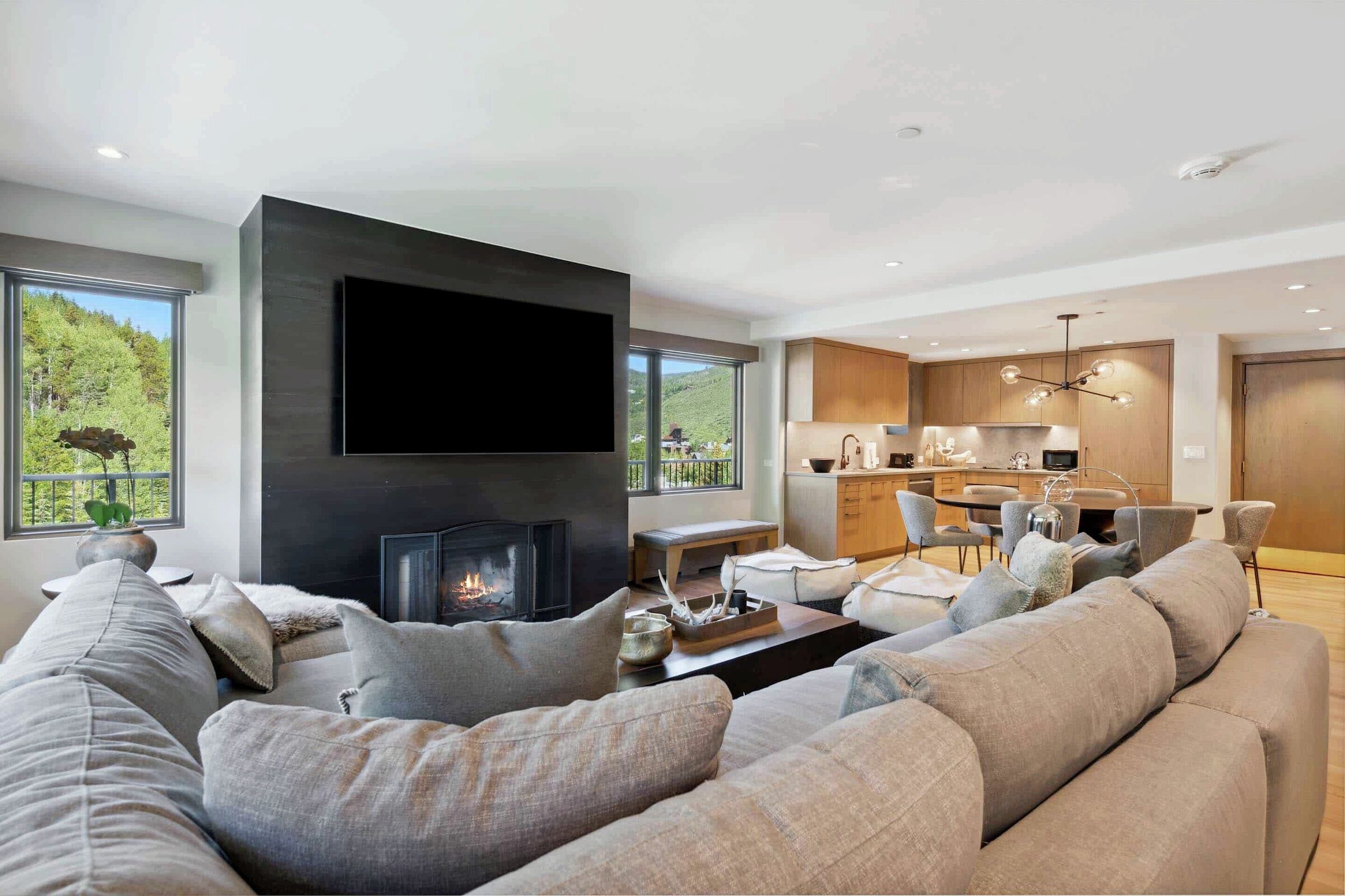 #699 - Living Area