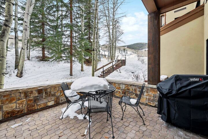Patio with BBQ