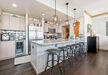 Gallery Thumbnail (#503 - Kitchen)