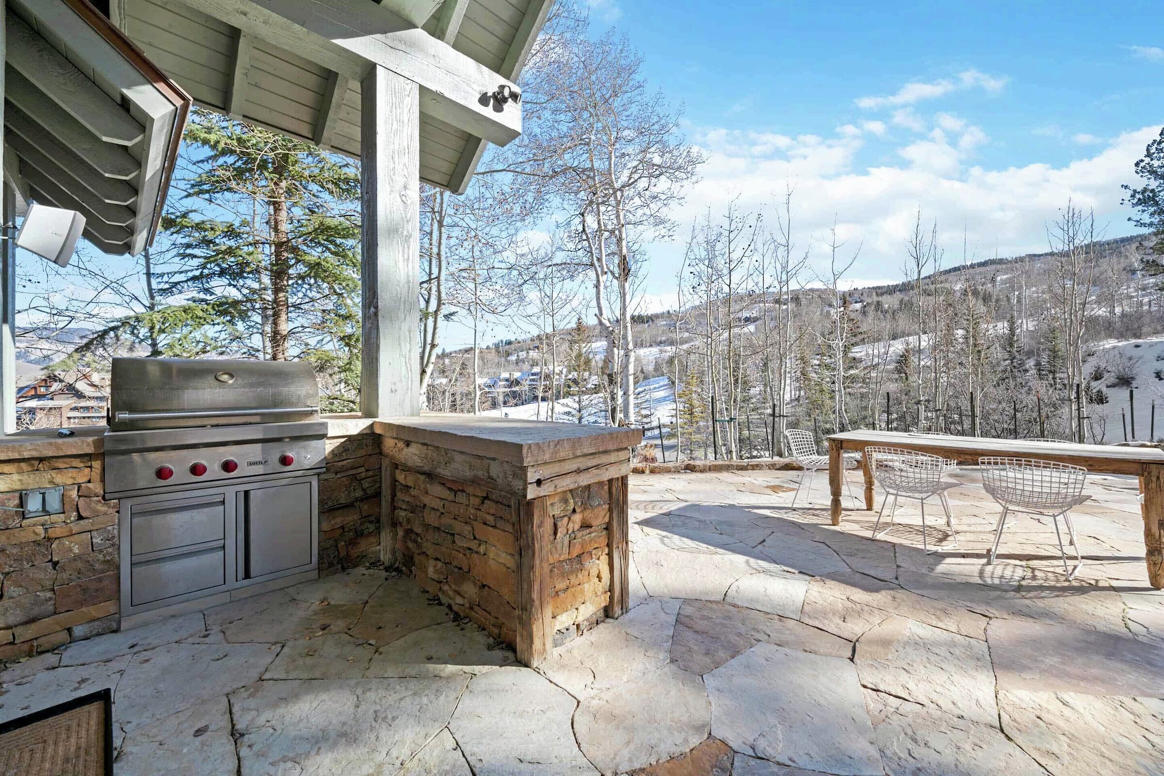Patio with BBQ
