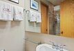 Gallery Thumbnail (Bathroom)