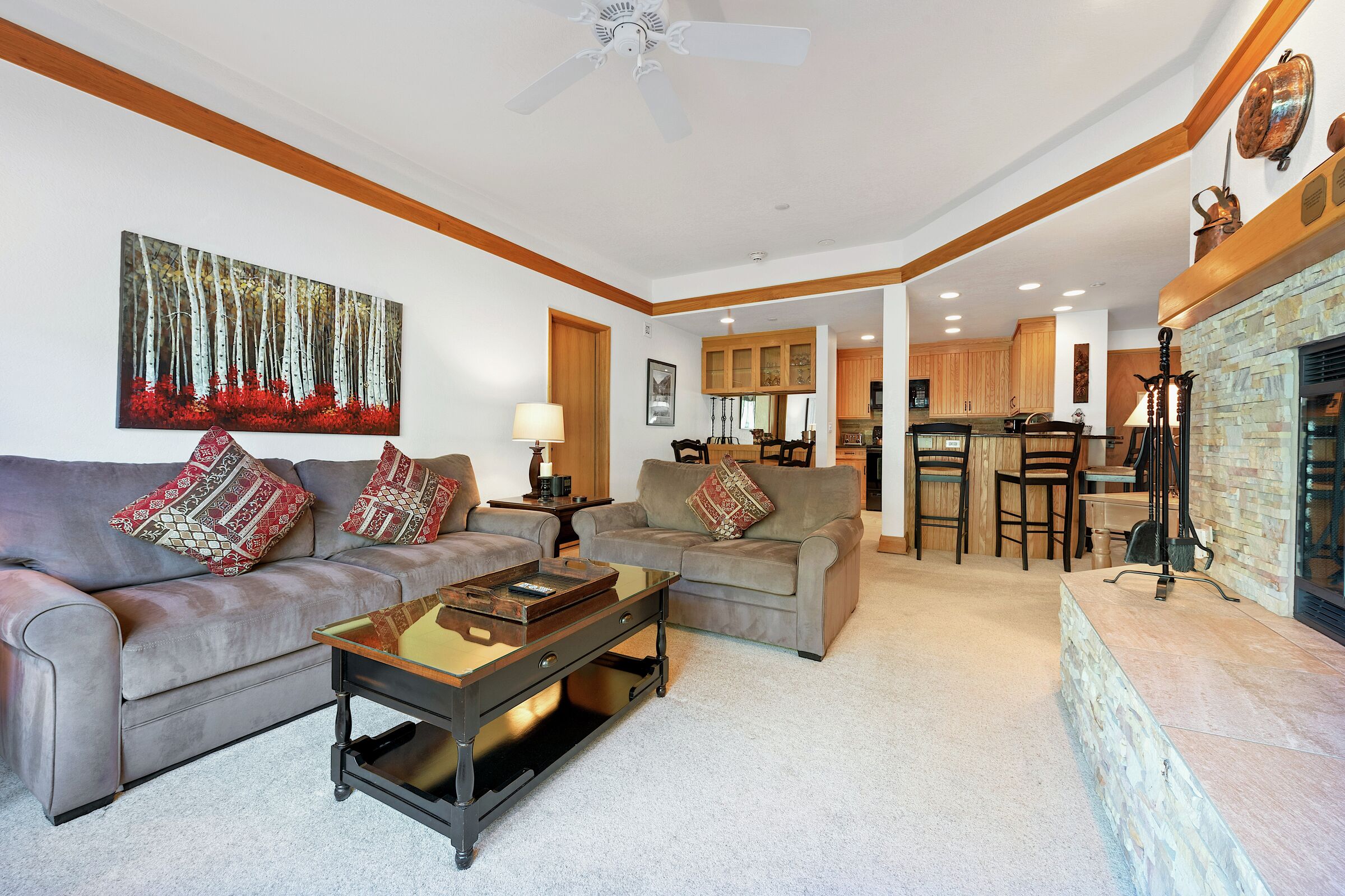 #D210 - Living Area