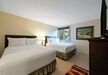 Gallery Thumbnail (#329 - Bedroom)