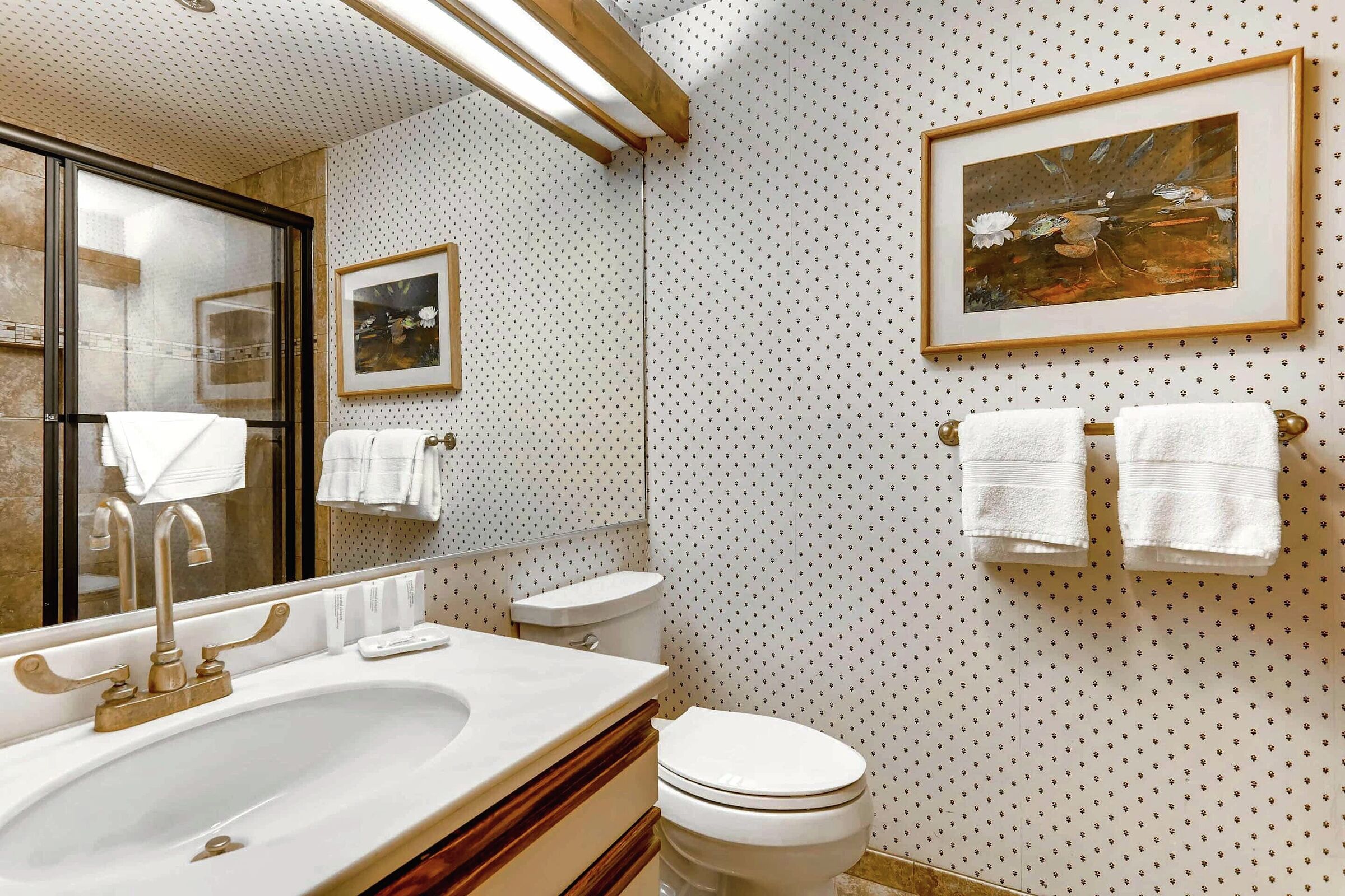 #433 - Bathroom