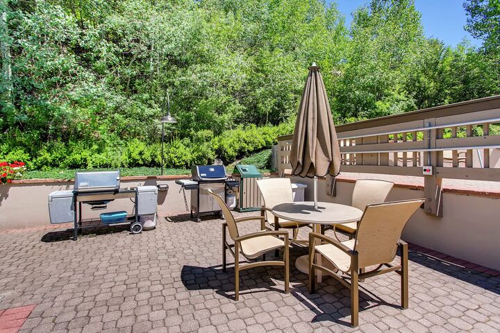 Patio with BBQ