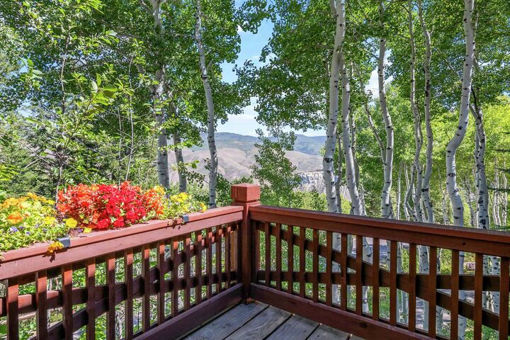 5 Bdrm 7 Bath HT - Balcony View