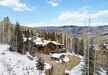 Gallery Thumbnail (Strawberry Park Court 313)