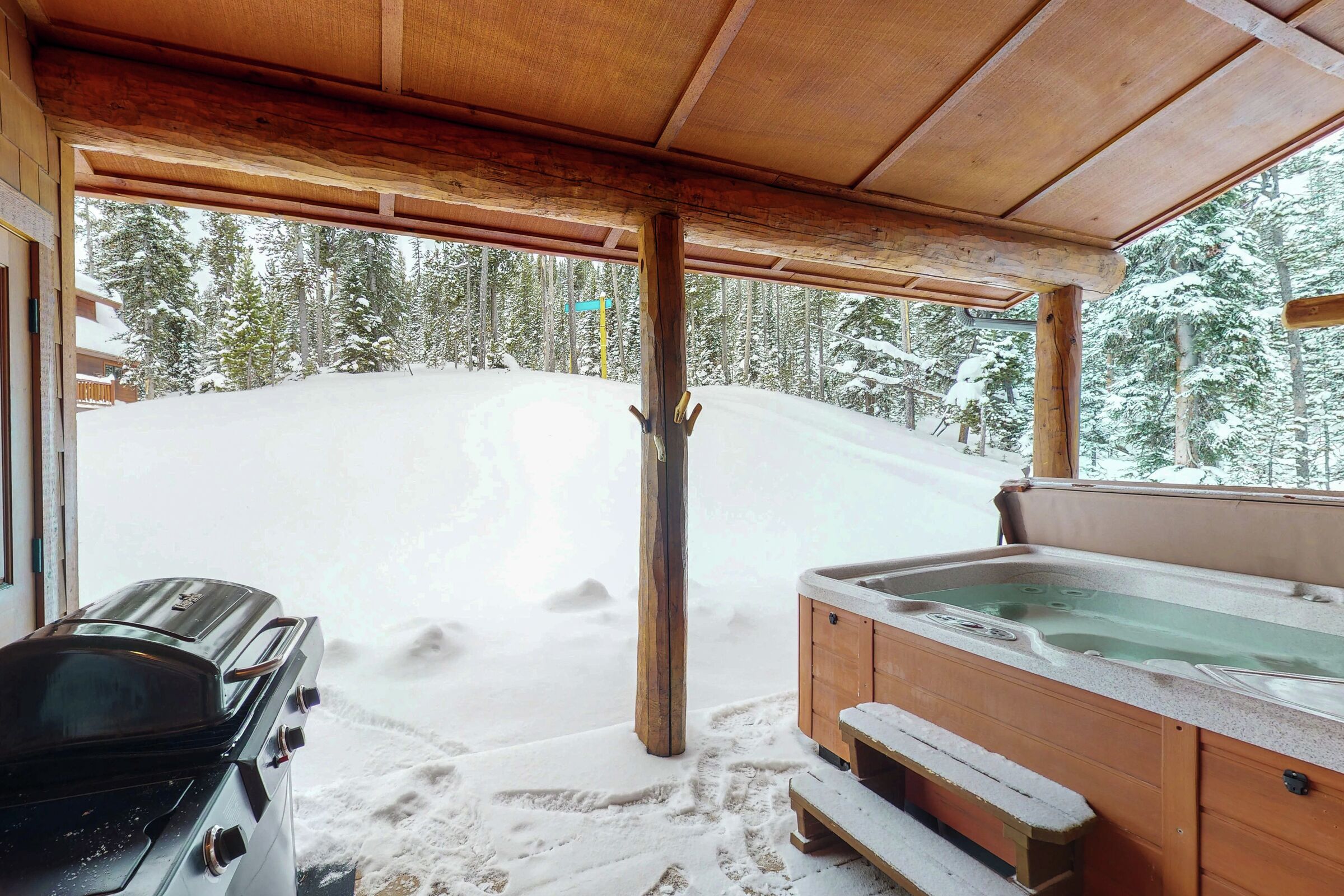 Patio with Hot Tub