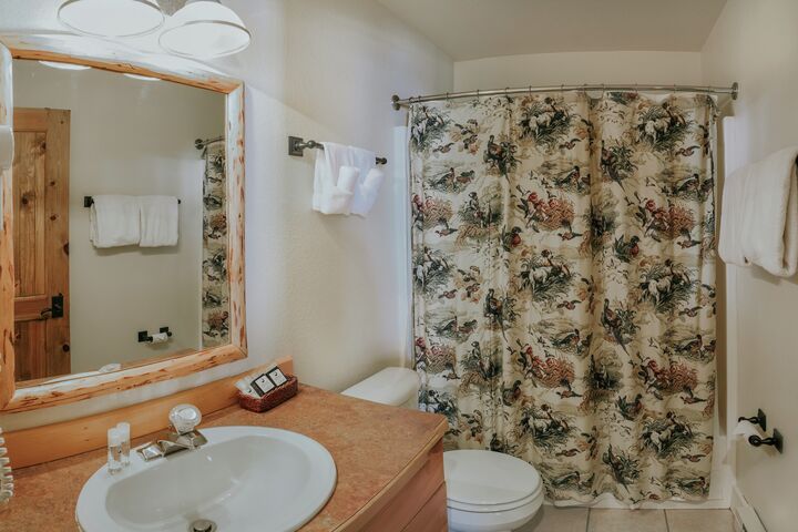 2 Bdrm 2 Bath HT - Bathroom