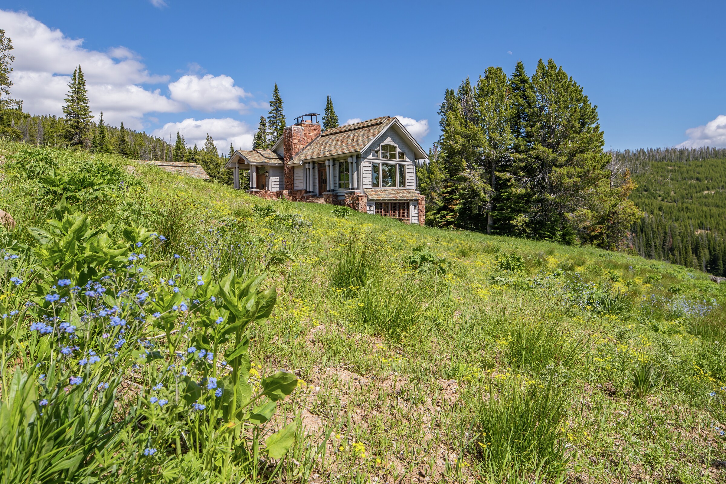 Beehive Basin Chalet