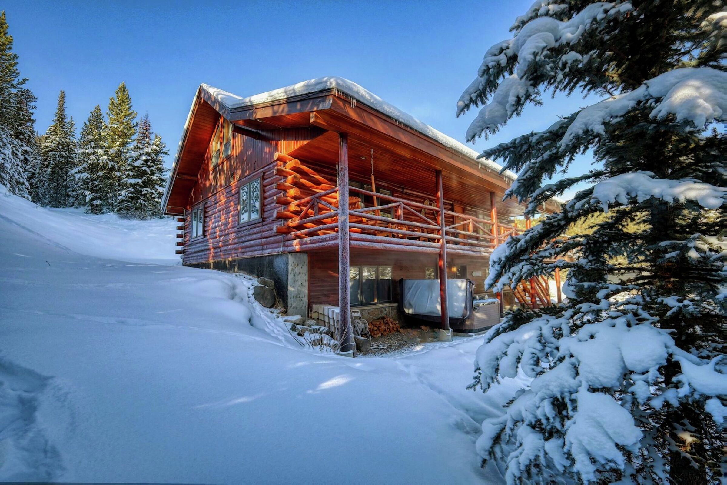 Low Dog Lodge