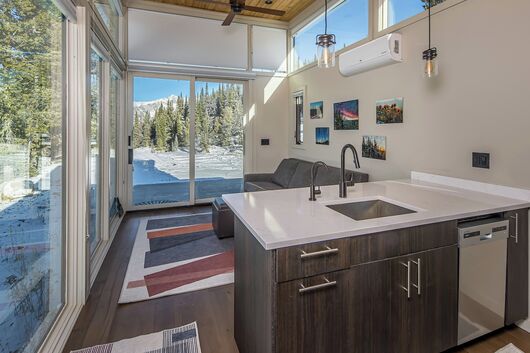 Living Area & Kitchen