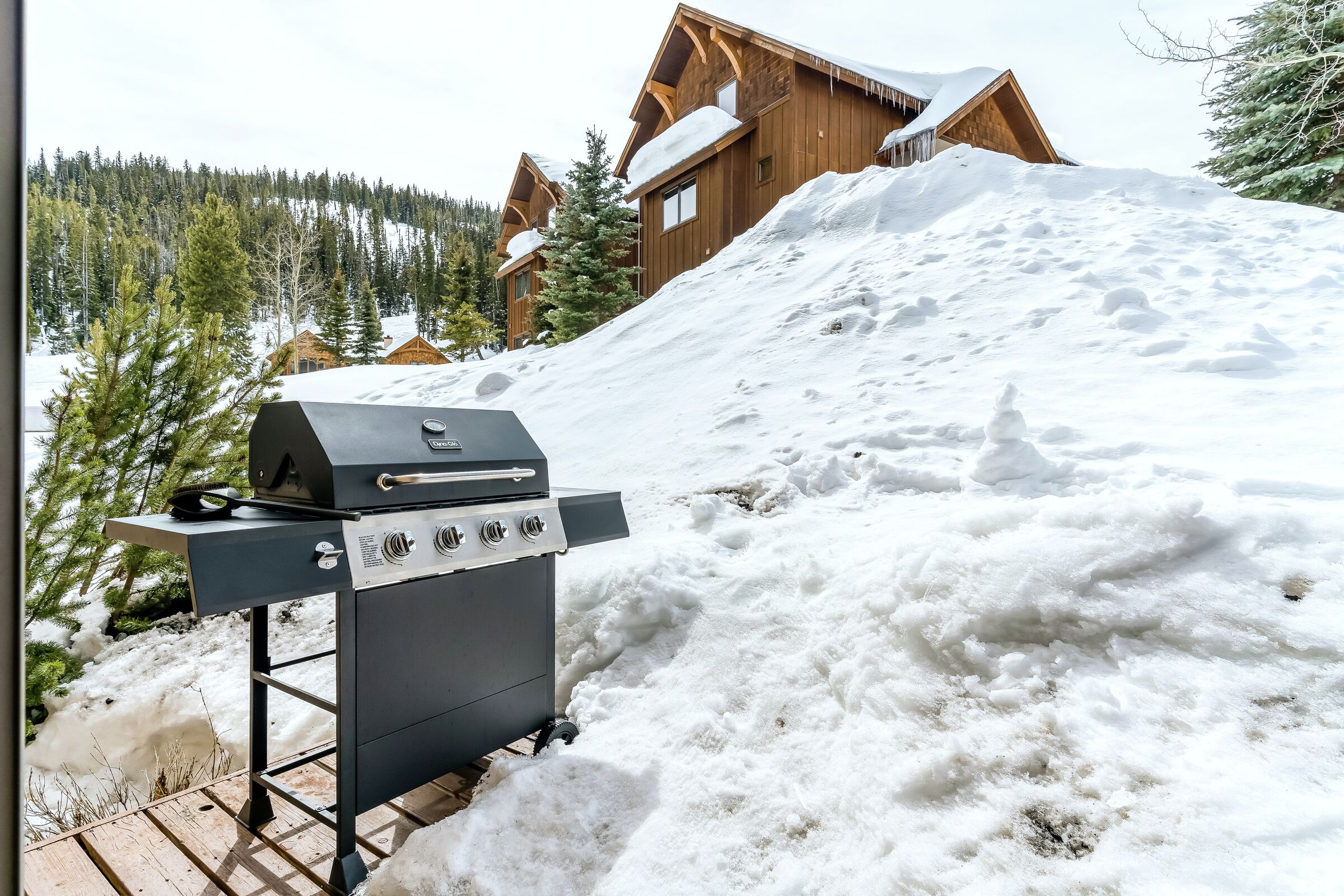 Deck with BBQ