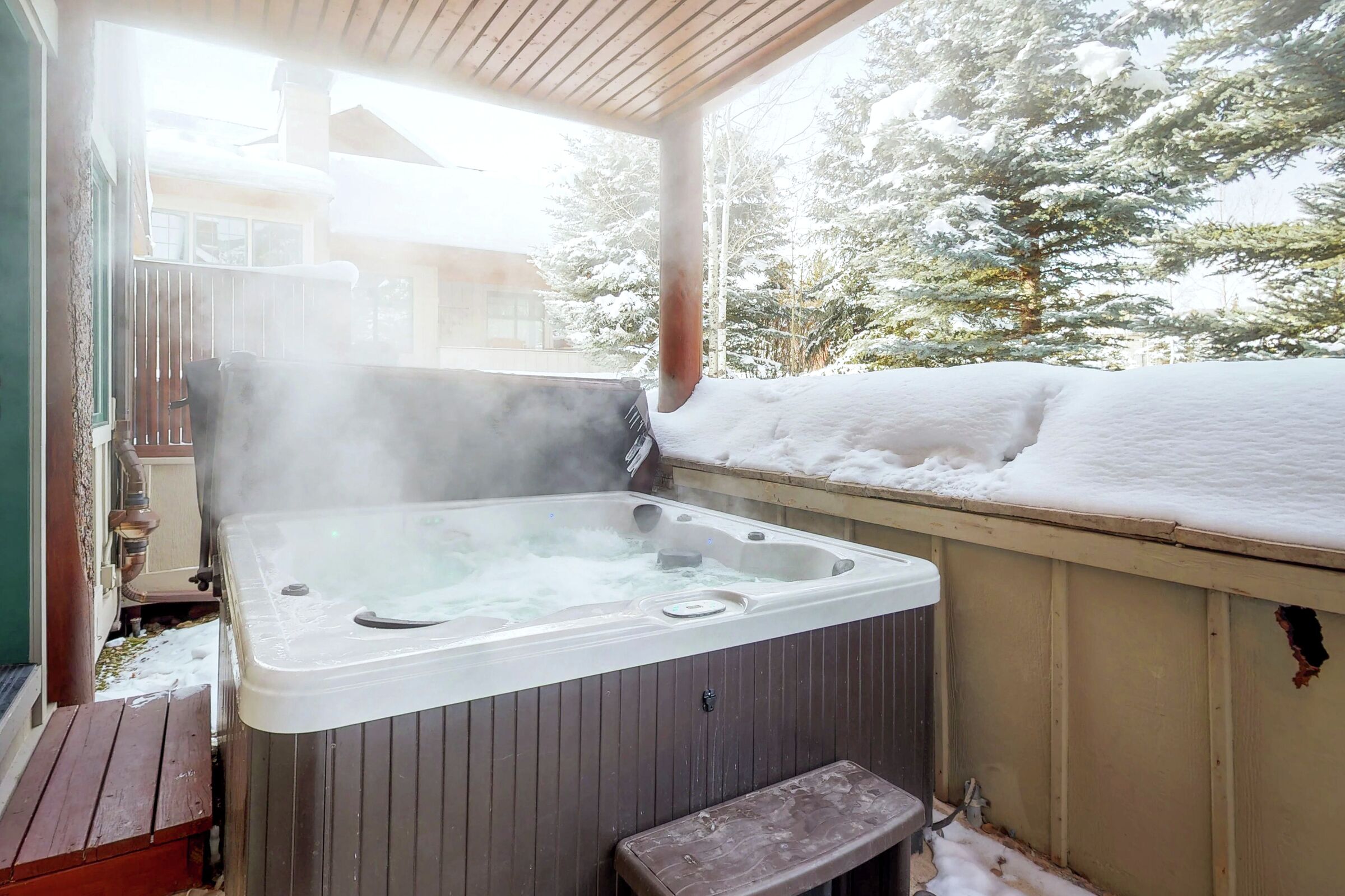 Patio with Hot Tub