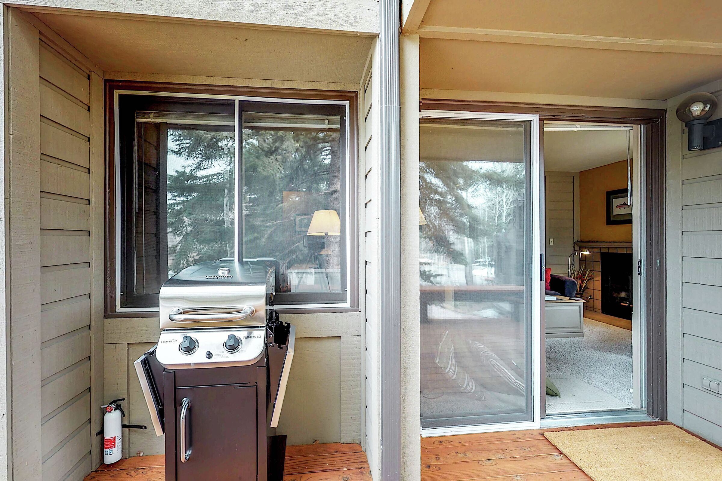 Patio with BBQ