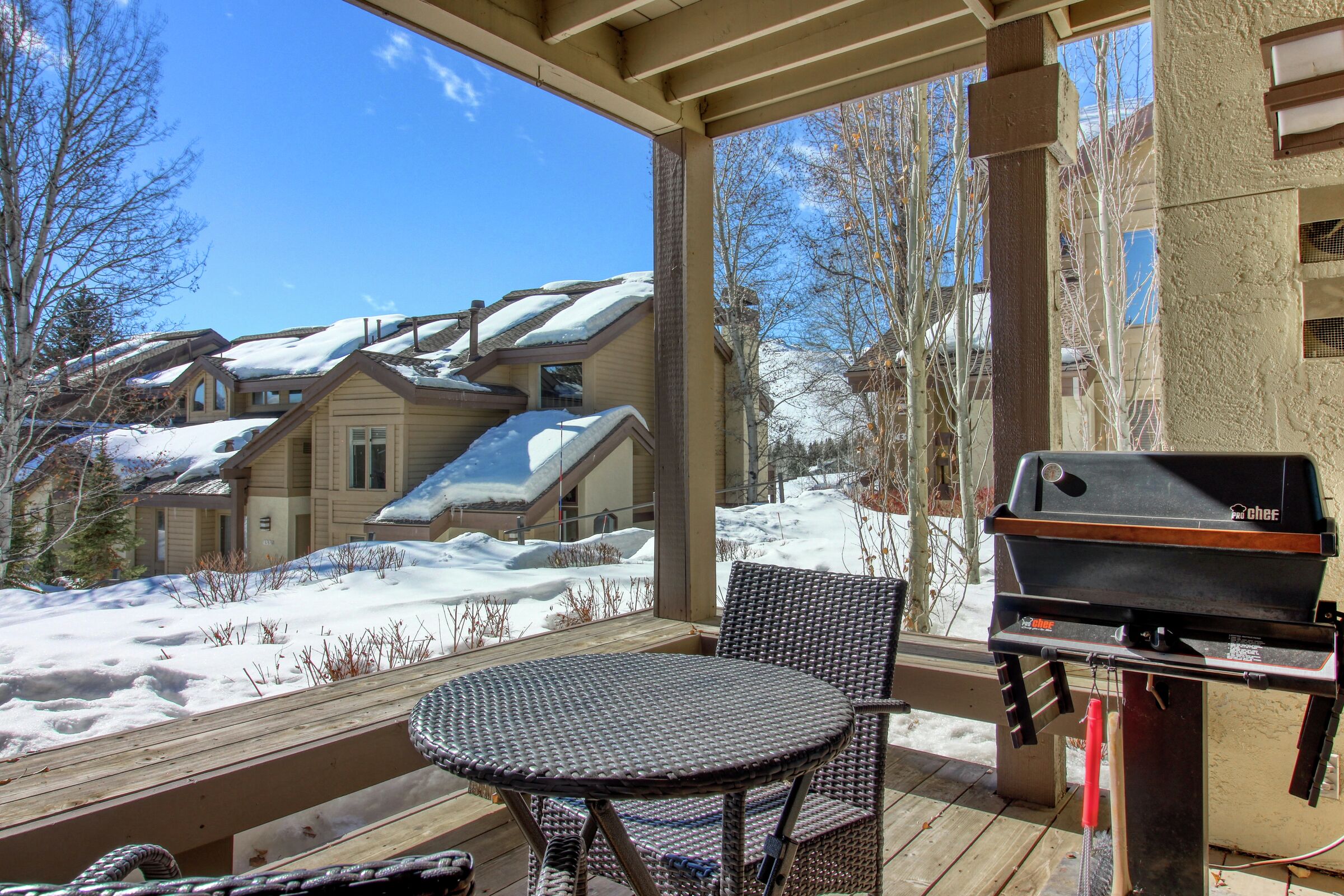 Patio with BBQ