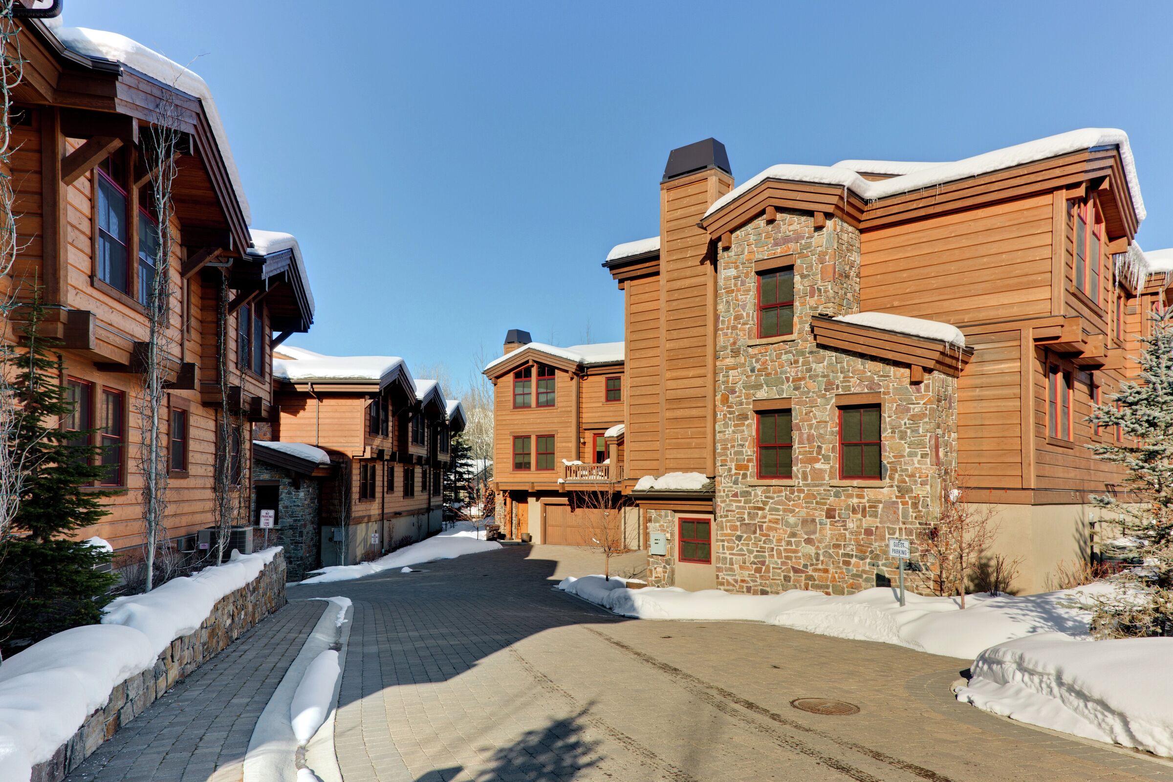 Ski View