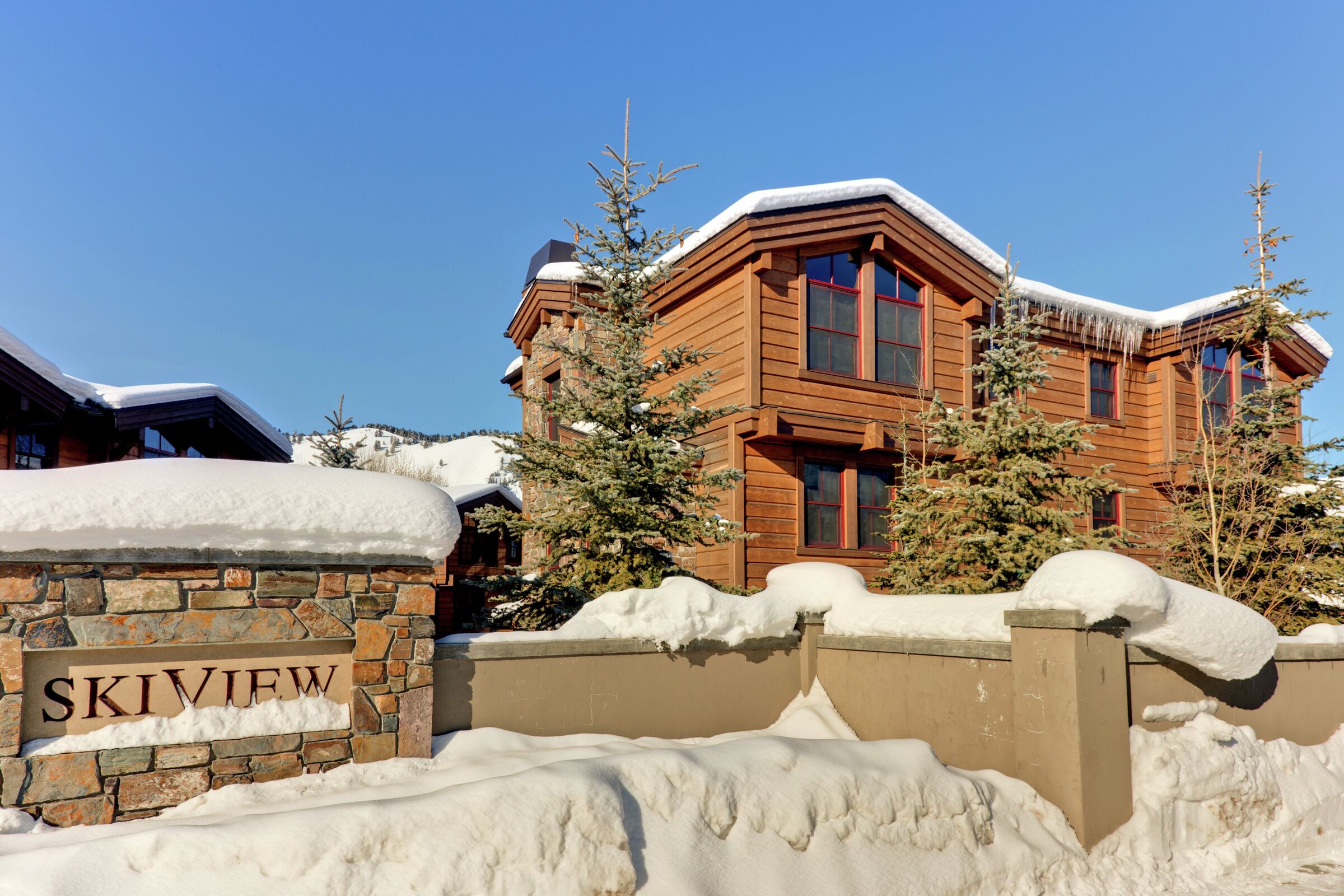 Ski View