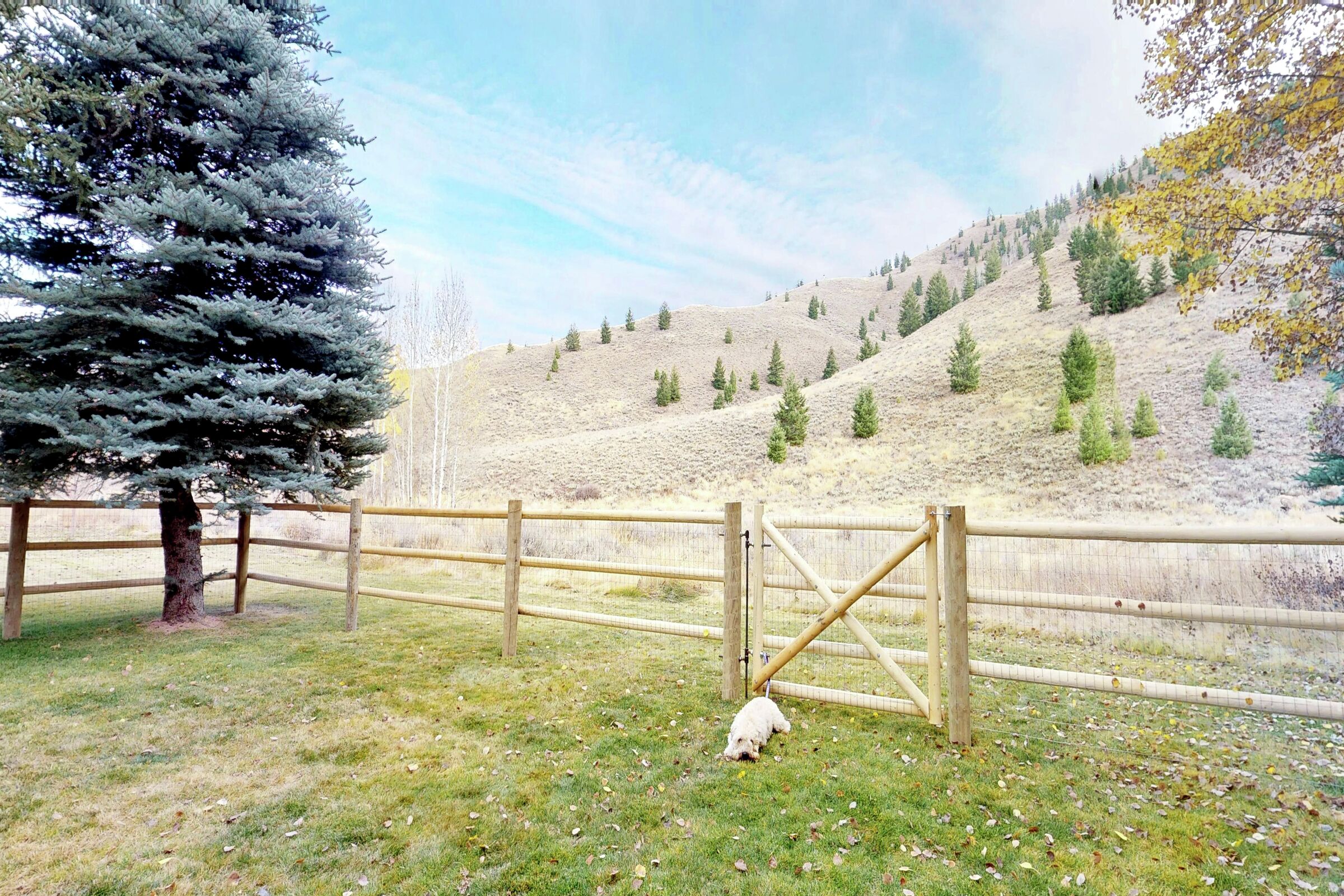 Sun Valley