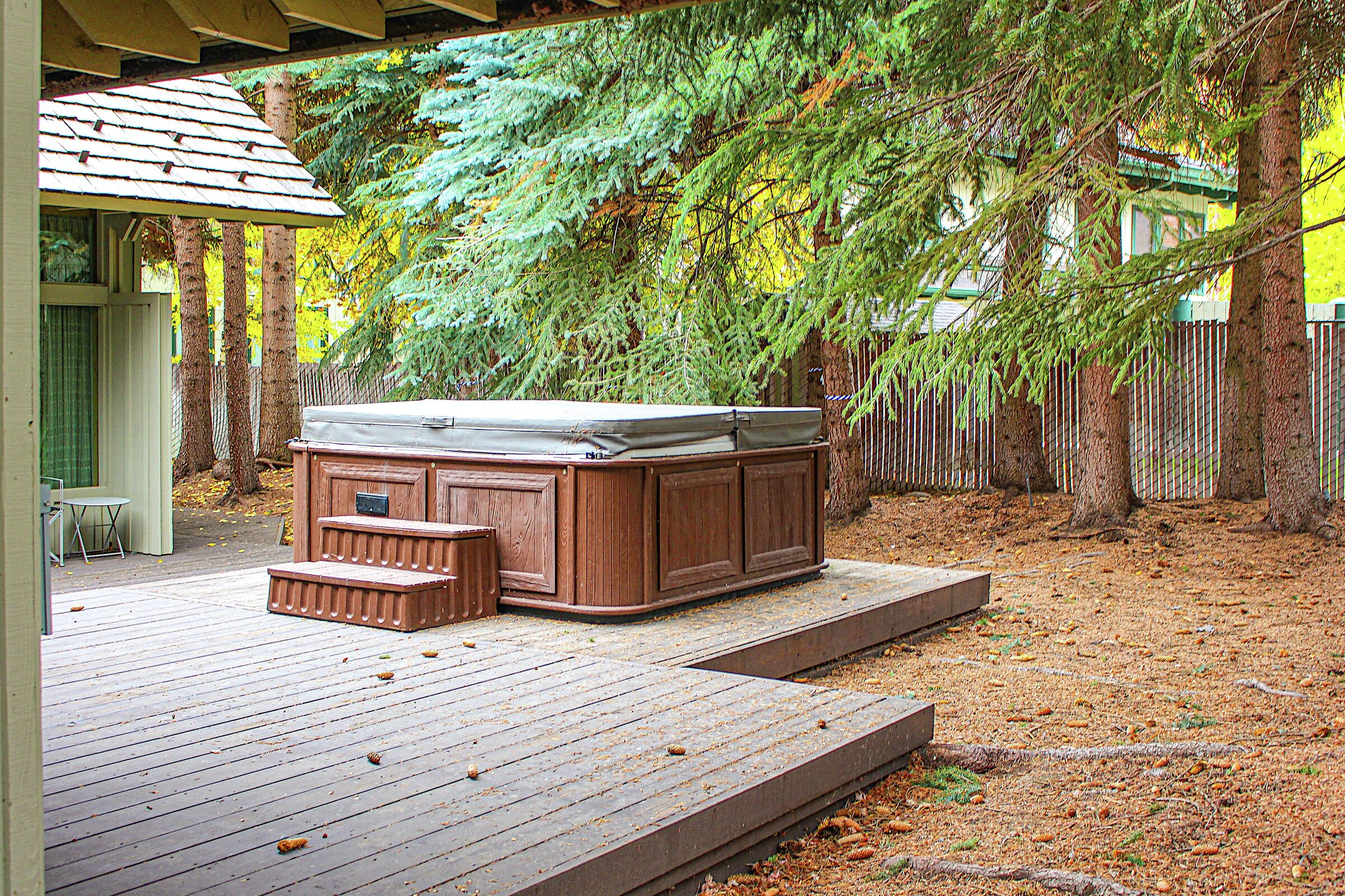 Patio with Hot Tub