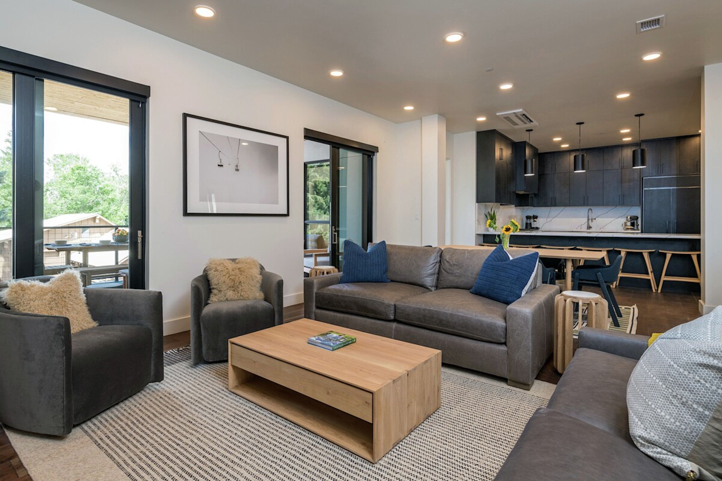 Living Area & Kitchen