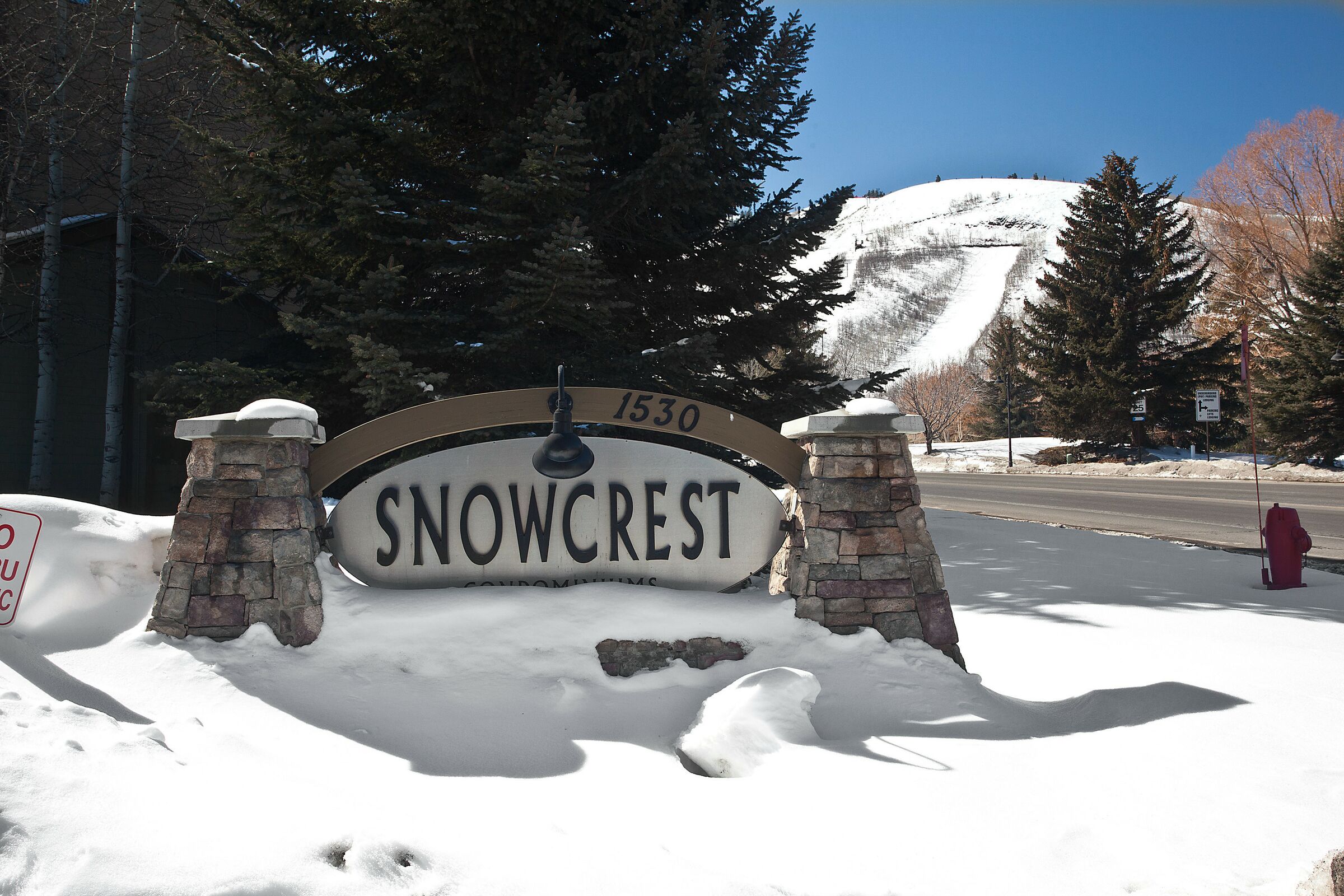 Snowcrest