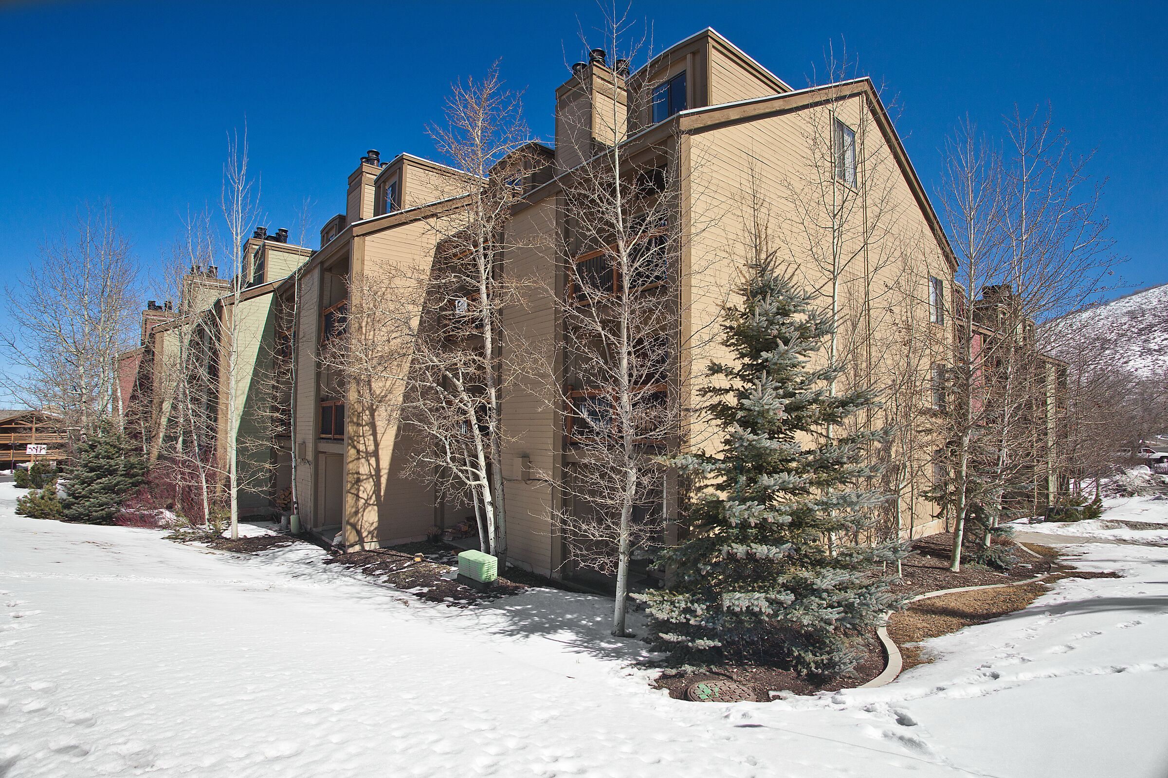 Snowcrest