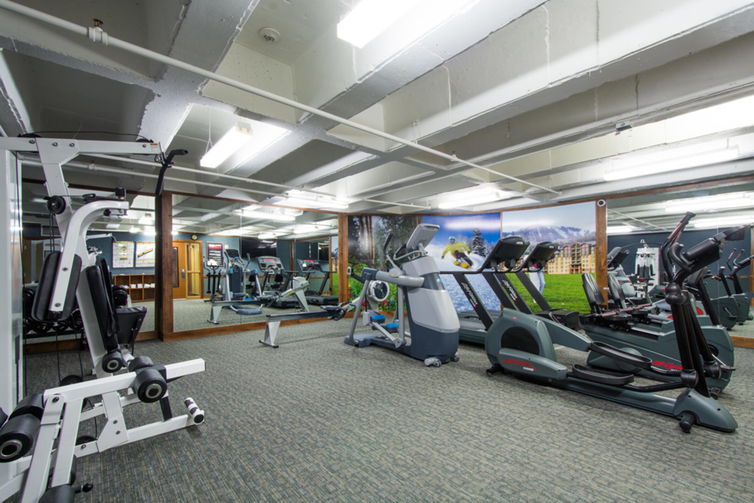 Gymnasium