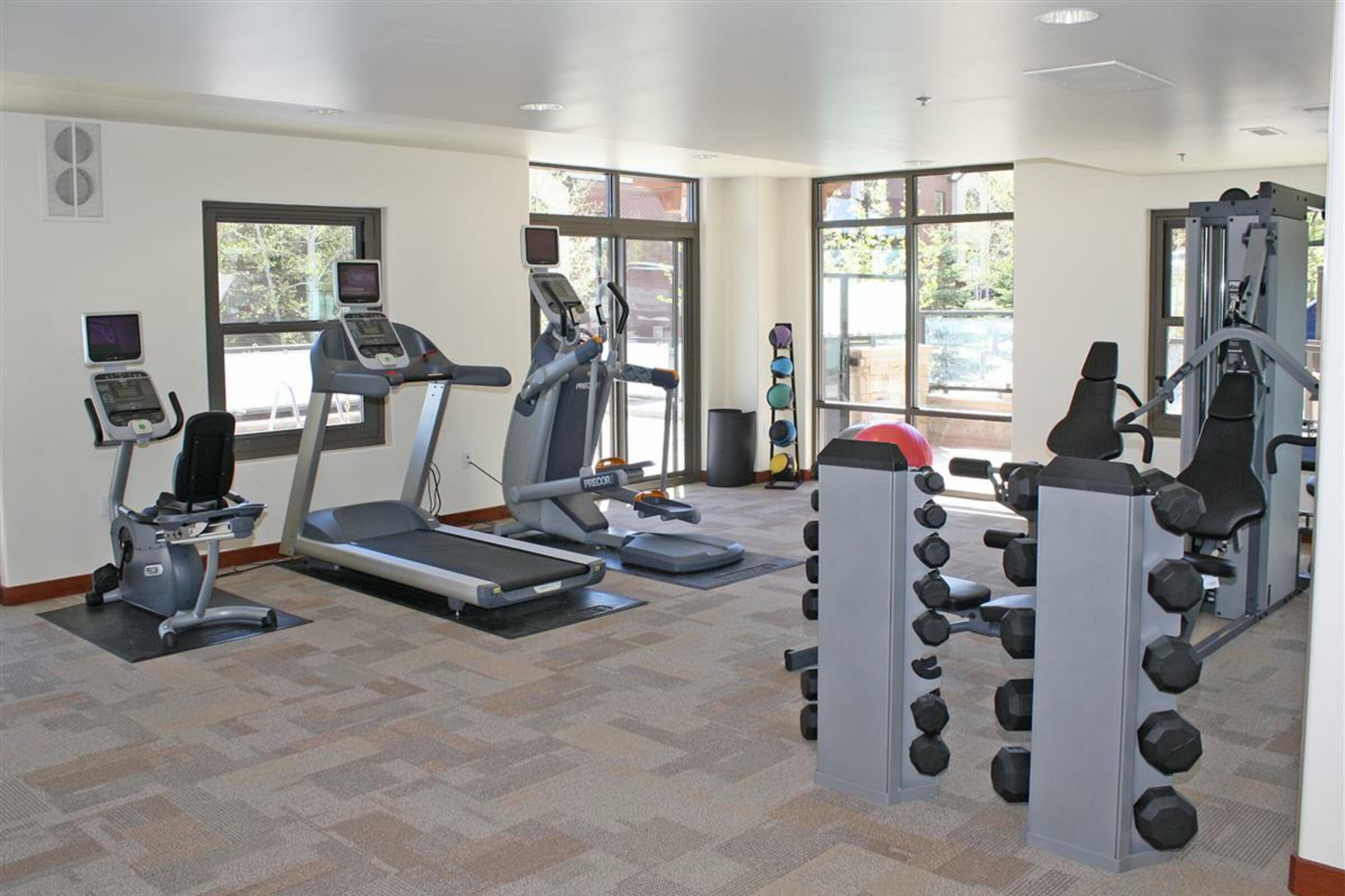Gymnasium